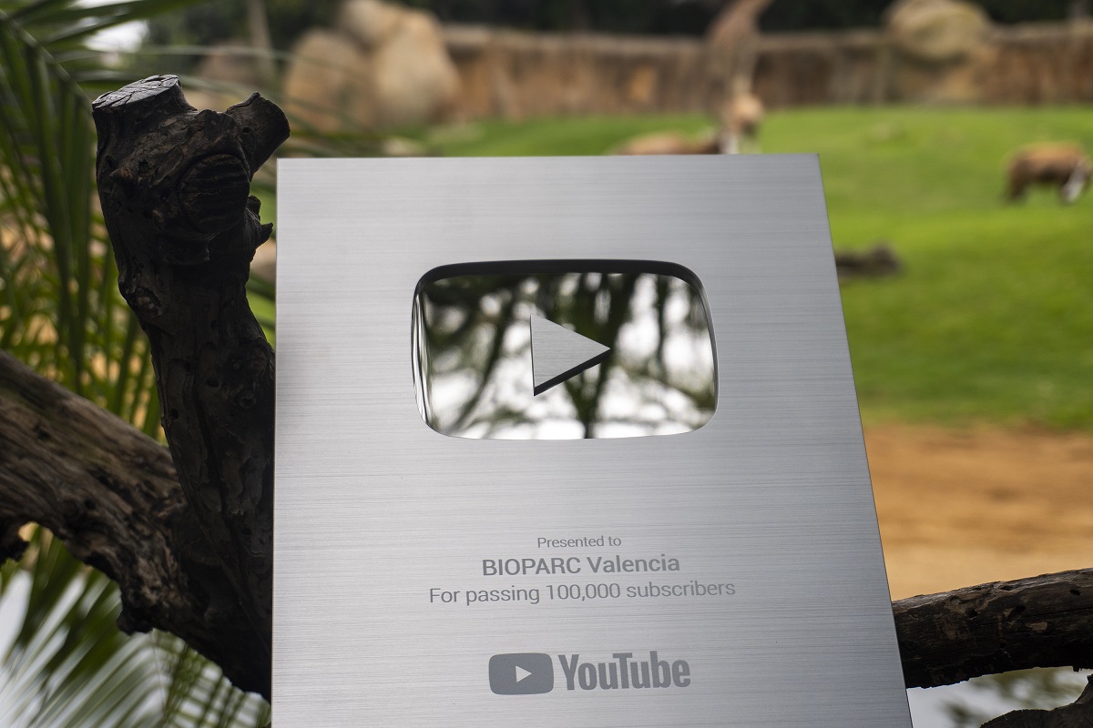Bioparc Valencia alcanza los 100.000 suscriptores en Youtube